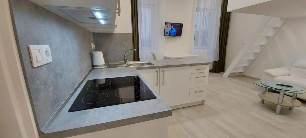 Apartment Krale Jiriho Карлові Вари Екстер'єр фото